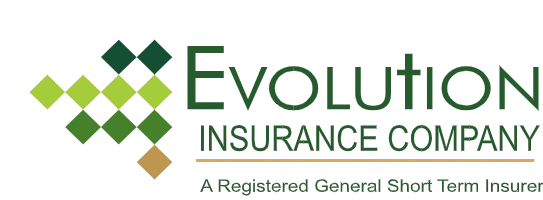 Evolution Group Ltd | Insurance in Zimbabwe | Motor, Life, Health ...